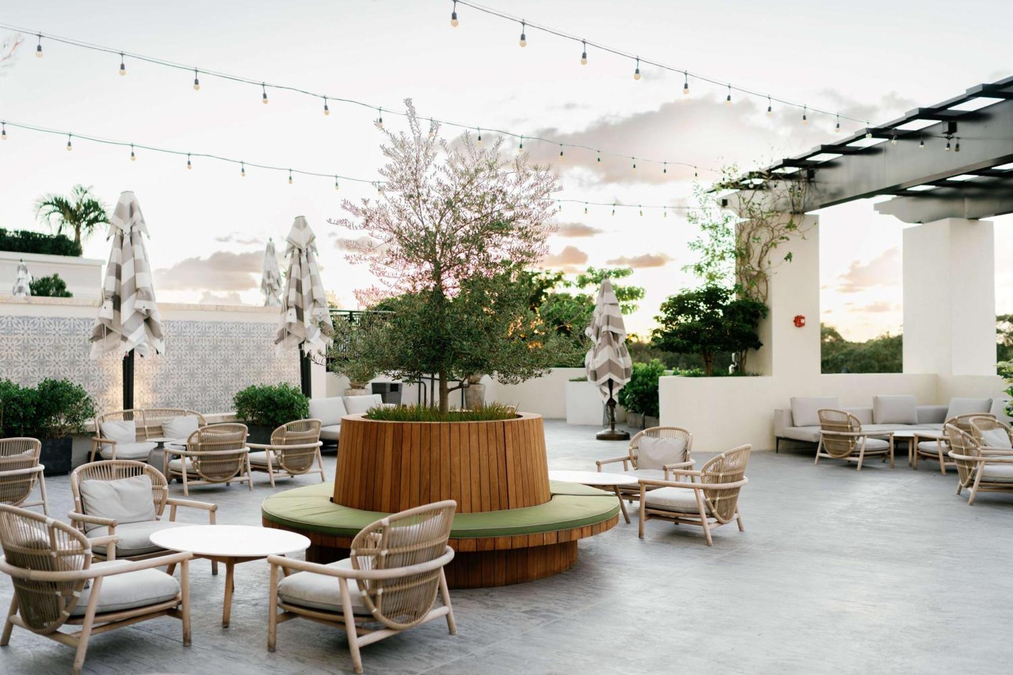 Thesis Hotel Miami Coral Gables, Curio Collection By Hilton Exterior photo